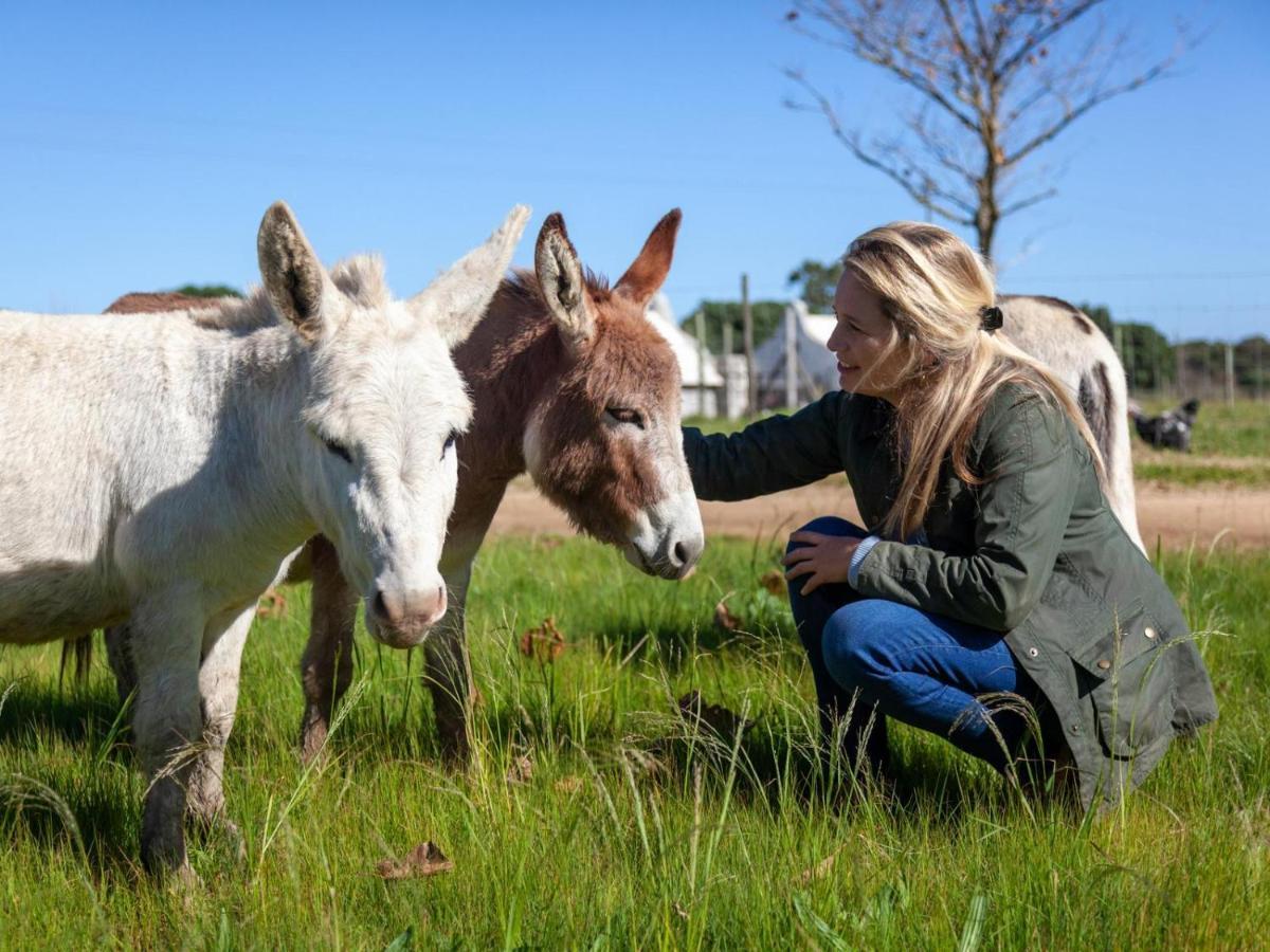 Rivergate Guest Farm Stanford Εξωτερικό φωτογραφία