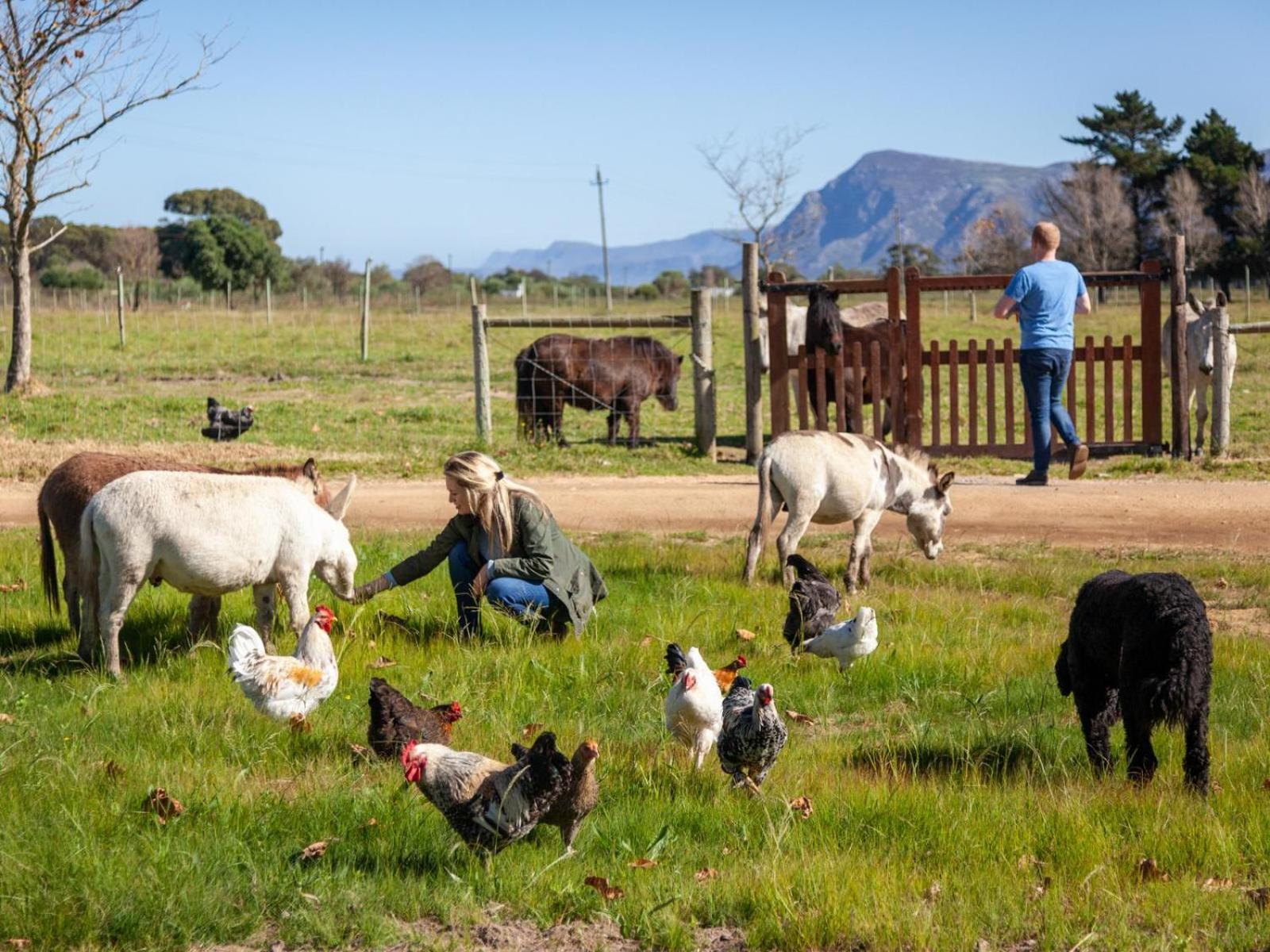 Rivergate Guest Farm Stanford Εξωτερικό φωτογραφία
